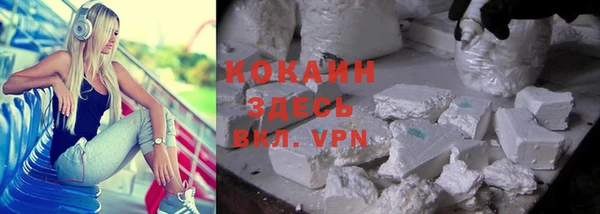 кокс Елизово