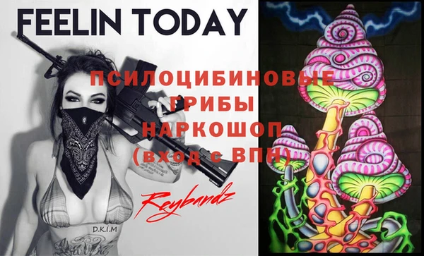 a pvp Ельня