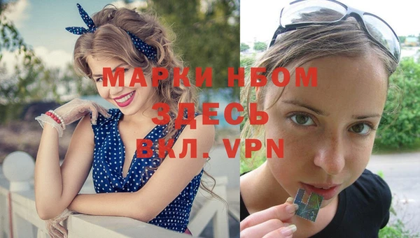 кокс Елизово