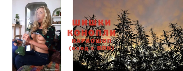 a pvp Ельня