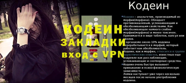 a pvp Ельня
