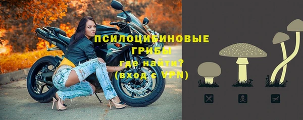 кокс Елизово