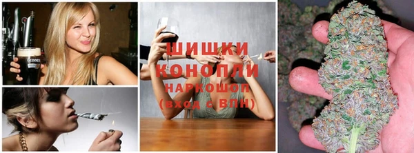 a pvp Ельня