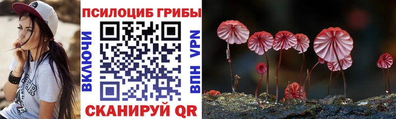 Купить закладки  Пучеж  Галлюциногенные грибы Cubensis 